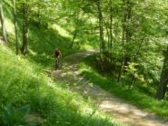 sterrato di salita al Poggio Tre Croci