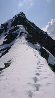 Cresta ovest con tracce di animali da evitare. 