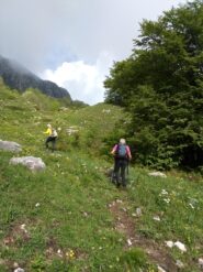 Zotta della Tromba 