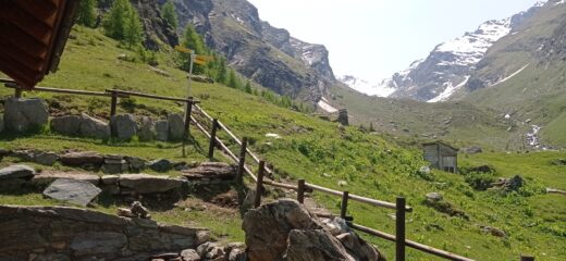Sul fondo il Colle di Fenis