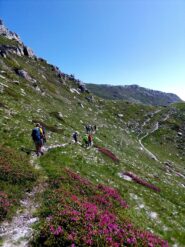 traverso sul versante Val Corsaglia verso il colletto Revelli