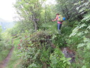 dal sentiero principale deviazione sulla destra per la Torretta