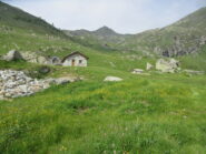 un bel alpeggio con ancora il Mont Roux al centro