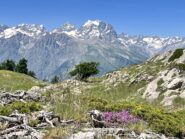 belvedere sul Pelvoux