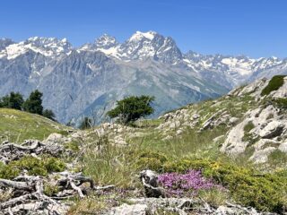 belvedere sul Pelvoux