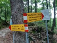 Il bivio P4-P5 che porta ai Tre Alberi