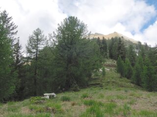 La panchina lungo la via di salita