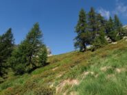 Nel selvaggio Vallone di Campeia
