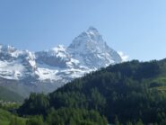 Visione dall'inizio del sentiero.