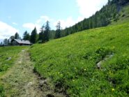 Fioritura all'Alpe Le Grillon.