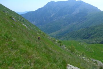 Sul ripido verso la dorsale