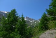 Il colle dell'Albergian