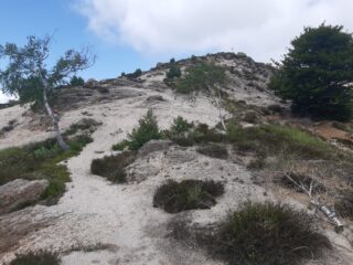 La risalita della dosale, con paesaggio quasi desertico