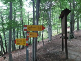 Le indicazioni all’arrivo ai Tre Alberi 