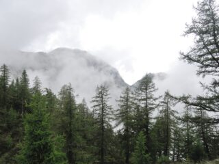 Pizzo dei Diosi e Bocchetta di Vald visti appena a monte della Bocchetta di Cavalla