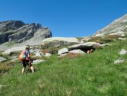 Verso il Passo con Zoe in cerca d'ombra