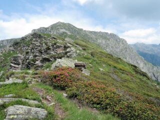 Verso la cima