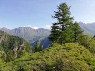 Dorsale del bric Maria