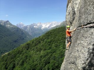 Traverso estetico (L4)