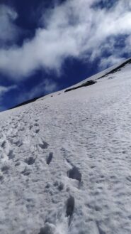 Traccia sul pendio innevato