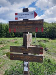 Il passo della Spingarda