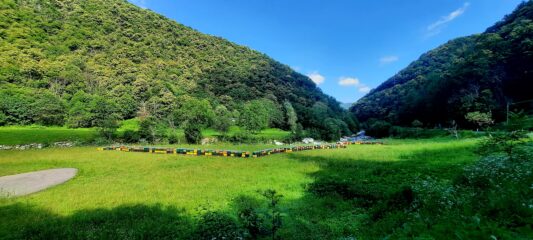 Fondovalle Corsaglia