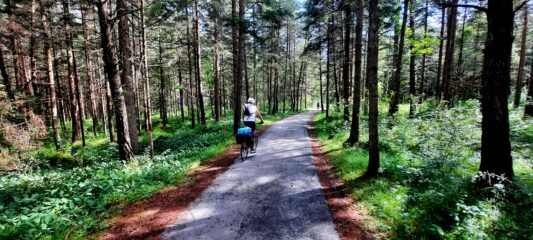 Freschi boschi sulla ciclabile della Drava