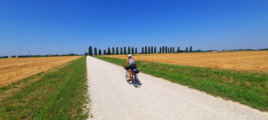 Campagne Friulane 