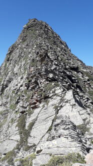 elegante ma non difficile..