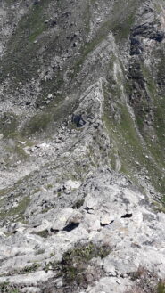 poco apparisciente osservata dall'alto..