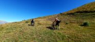 Dall'Helios su per le piste