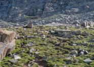 Pedaggio sul sentiero