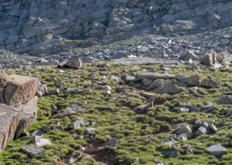 Pedaggio sul sentiero