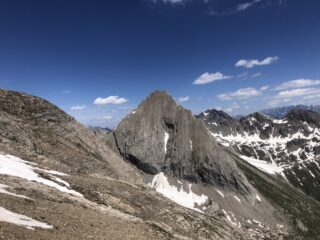 Che bella la Bonalex! 