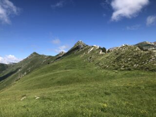 Cresta1