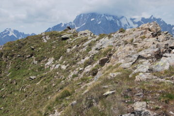 L’arrivo sull’altra Testa di Licony, quota 2915 m