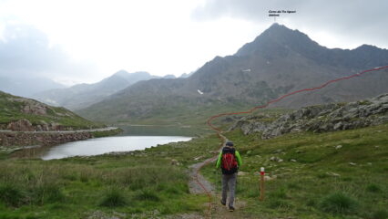 Prima parte del percorso ,vista dal P.so Gavia.