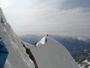 Prima dell'Androsace