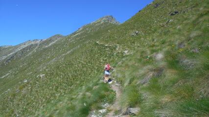 Sul tratto del sentiero che sale progressivamente verso la cresta