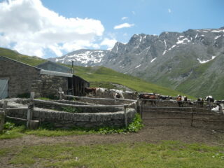 Bergeria del Gran Miol e Gran Queyron sullo sfondo