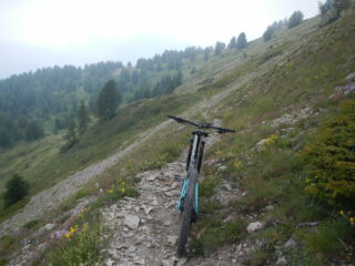 ....infine sentiero più scorrevole