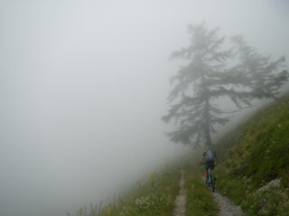 si sale nella nebbia.....