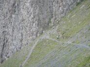tratto di medio impegno.... che precede quello pietroso e non ciclabile
