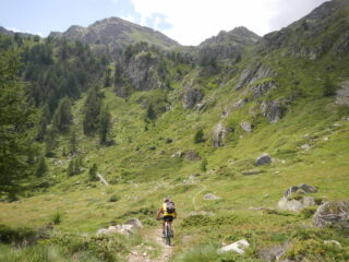 tratto del sentiero n. 19 per il Colle Collet