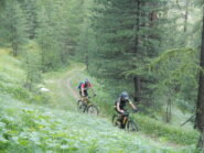 molto bello il tratto di salita nel bosco