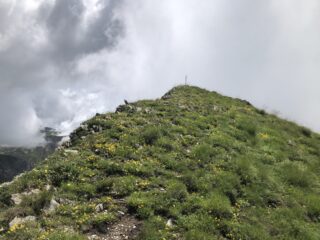 Cresta3