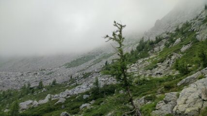 Uno sguardo verso le verosso