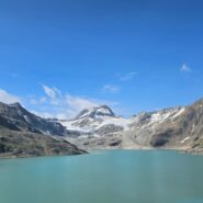 Arbola e lago del Sabbione 