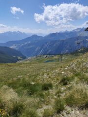 Chamois sotto