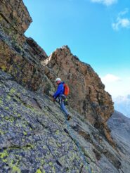 Si procede bene in conserva 